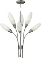  Calista 6-Light Chandelier Brushed Nickel FR40106BNI